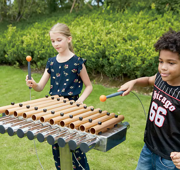 අභිරුචි තේමාව